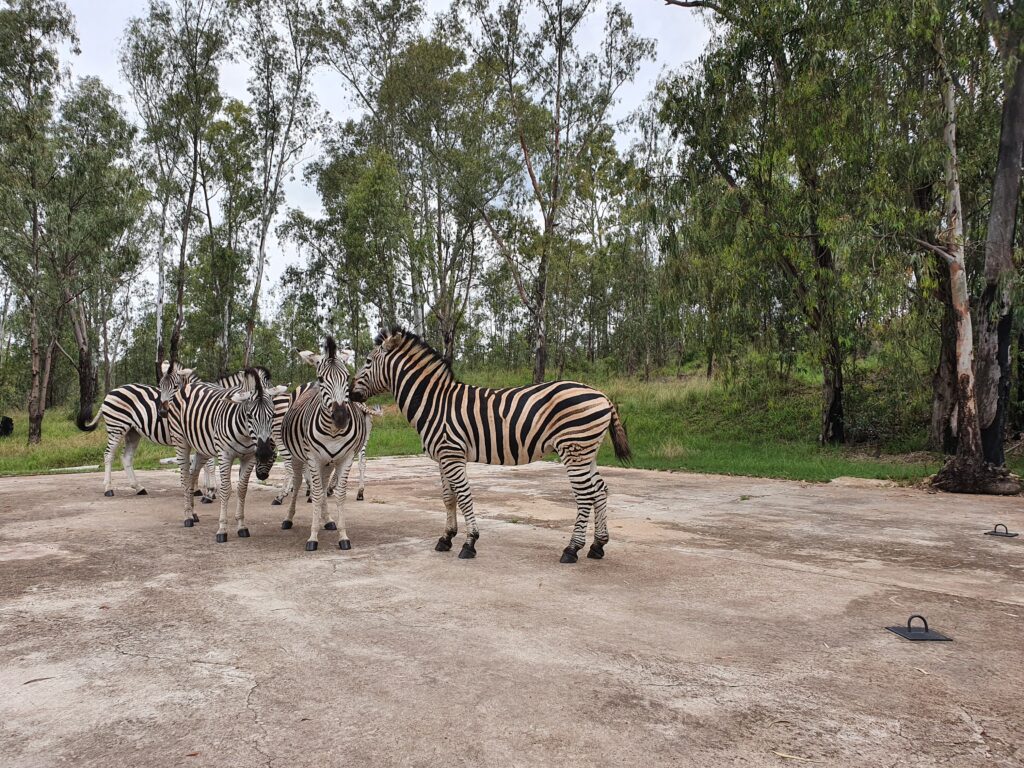 Adventures Gallery | Wildlife-6